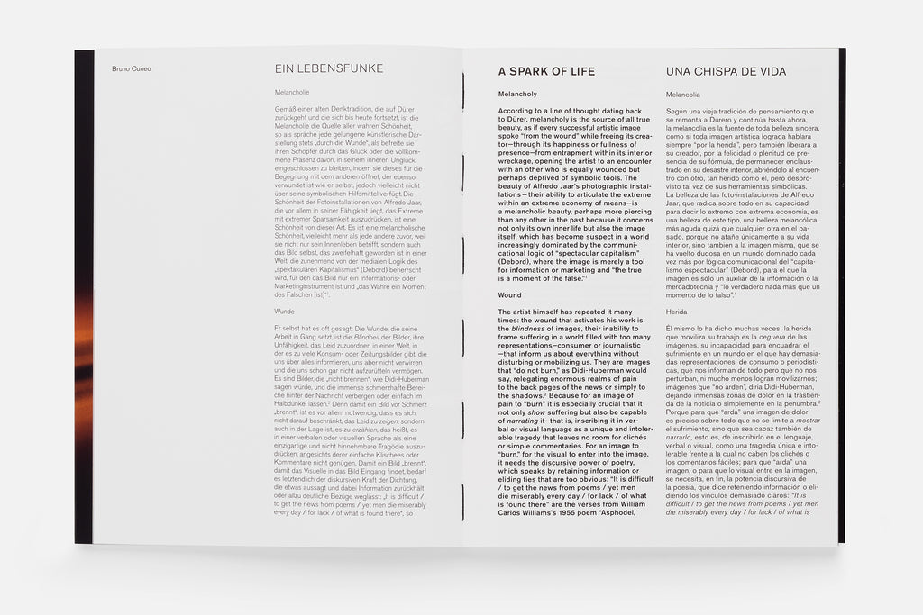 alfredo jaar lament of the images grass publishers